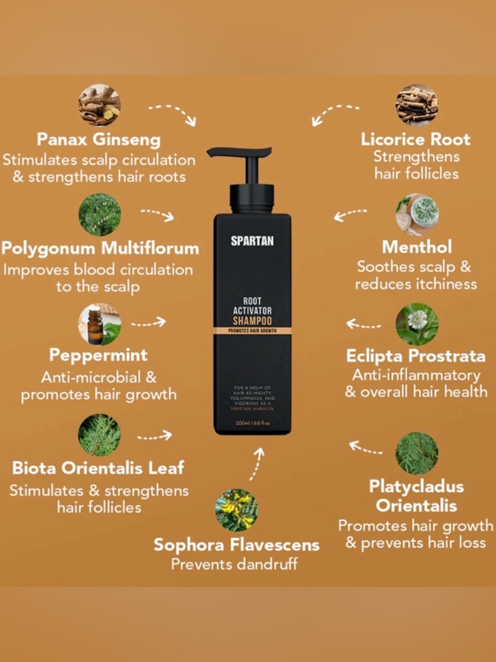 Spartan: Root Activator Shampoo- Promotes Hair Growth For Women & Men - Picture 4 of 11